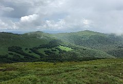 142_iP_200619_IMG_1254