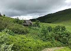 274_iP_200619_IMG_1301