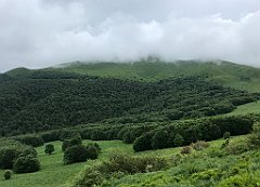 307_iP_200619_IMG_1314