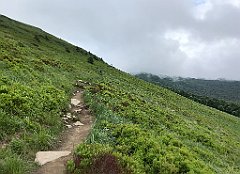 308_iP_200619_IMG_1315