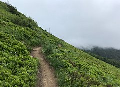 312_iP_200619_IMG_1320