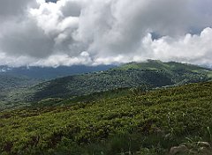 493_iP_200619_IMG_1345