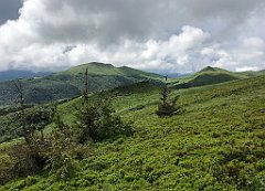 516_iP_200619_IMG_1350