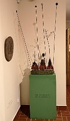 046_p20_IMG_20200620_101454