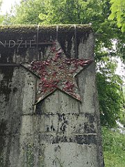 276_p20_IMG_20200620_132849