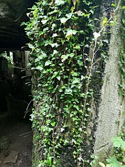 288_p20_IMG_20200620_132021