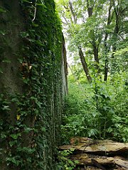 325_p20_IMG_20200620_132811