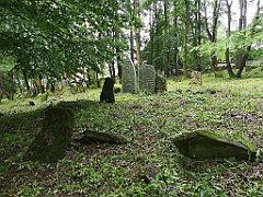 392_p20_IMG_20200620_141057