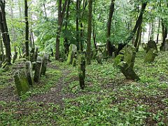 393_p20_IMG_20200620_141111