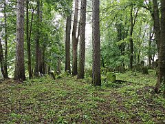 426_p20_IMG_20200620_142014