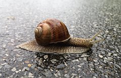 063_p20_IMG_20200621_103519