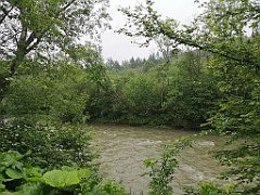 155_p20_IMG_20200621_113256