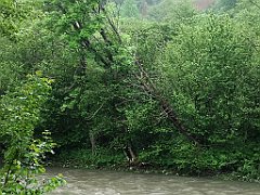 156_p20_IMG_20200621_113301