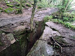 290_p20_IMG_20200621_134948