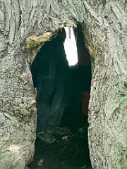 427_p20_IMG_20200621_152425