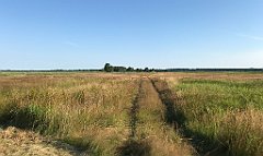 083_iP_200719_IMG_1494