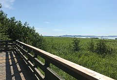 164_iP_200719_IMG_1534