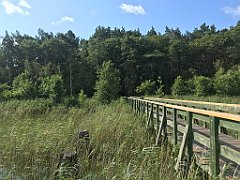 163_iP_200813_IMG_1632