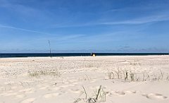 239_iP_200813_IMG_1654