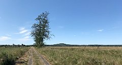 355_iP_200813_IMG_1674