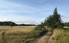 033_iP_200819_IMG_1717