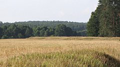 070_IMG_x57842