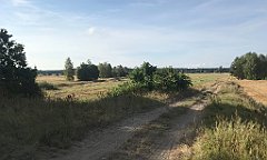 110_iP_200819_IMG_1730