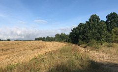 112_iP_200819_IMG_1732