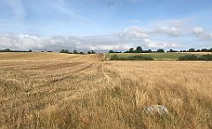 128_iP_200819_IMG_1742