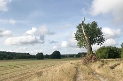 144_iP_200819_IMG_1748