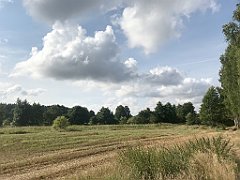 164_iP_200819_IMG_1750