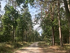 258_iP_200819_IMG_1783