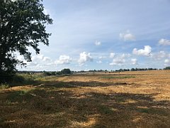 302_iP_200819_IMG_1791