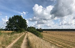318_iP_200819_IMG_1795