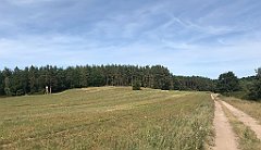 388_iP_200819_IMG_1834