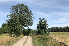 410_iP_200819_IMG_1836