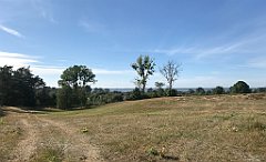 420_iP_200819_IMG_1839