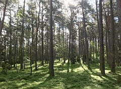 058_iP_210530_IMG_2382