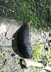 072_p20_IMG_20210530_093721