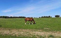 087_p20_IMG_20210530_094655