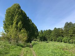 117_iP_210530_IMG_2416