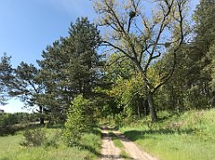 136_iP_210530_IMG_2422