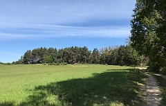 148_iP_210530_IMG_2432