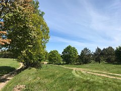 154_iP_210530_IMG_2438