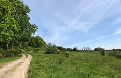 172_iP_210530_IMG_2446