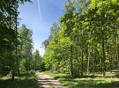 185_iP_210530_IMG_2450