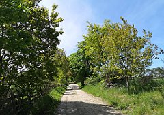 201_p20_IMG_20210530_115410