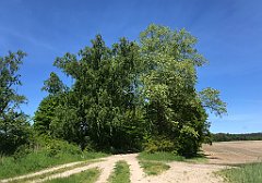 254_iP_210530_IMG_2473