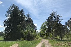 264_iP_210530_IMG_2476