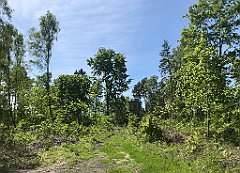 276_iP_210530_IMG_2478